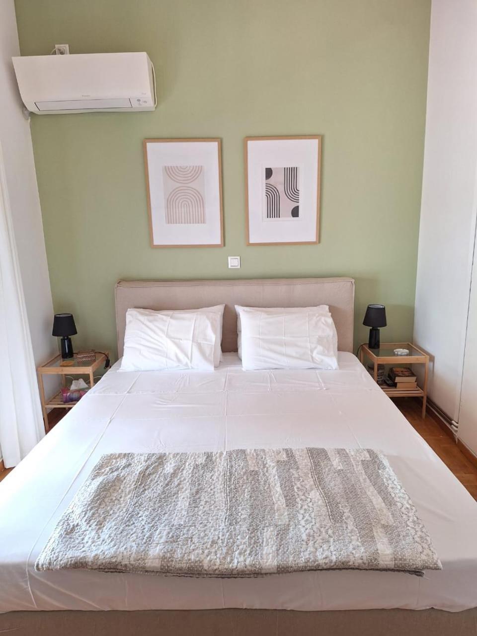 Large 1 Bedroom Penthouse With Large Terrace Athènes Extérieur photo